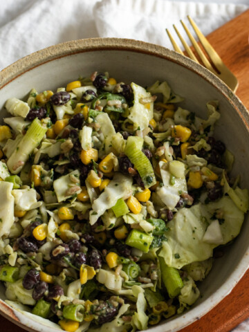 Vegan Taco Salad with Vegan Avocado Crema