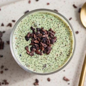 mint chocolate chip chia pudding