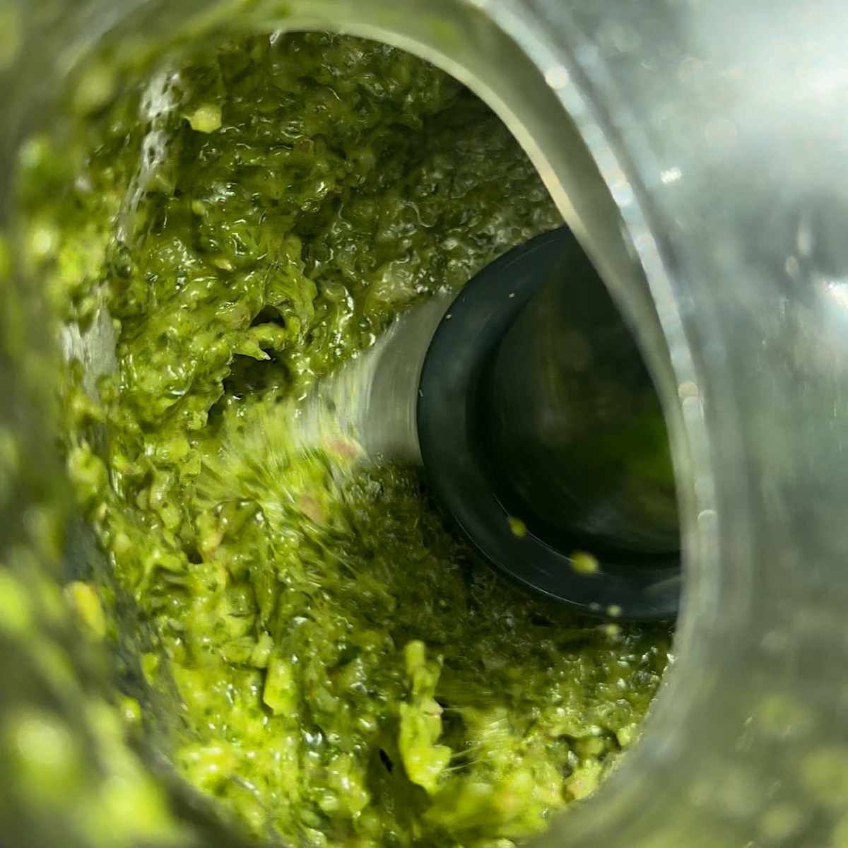 chimichurri in food processor