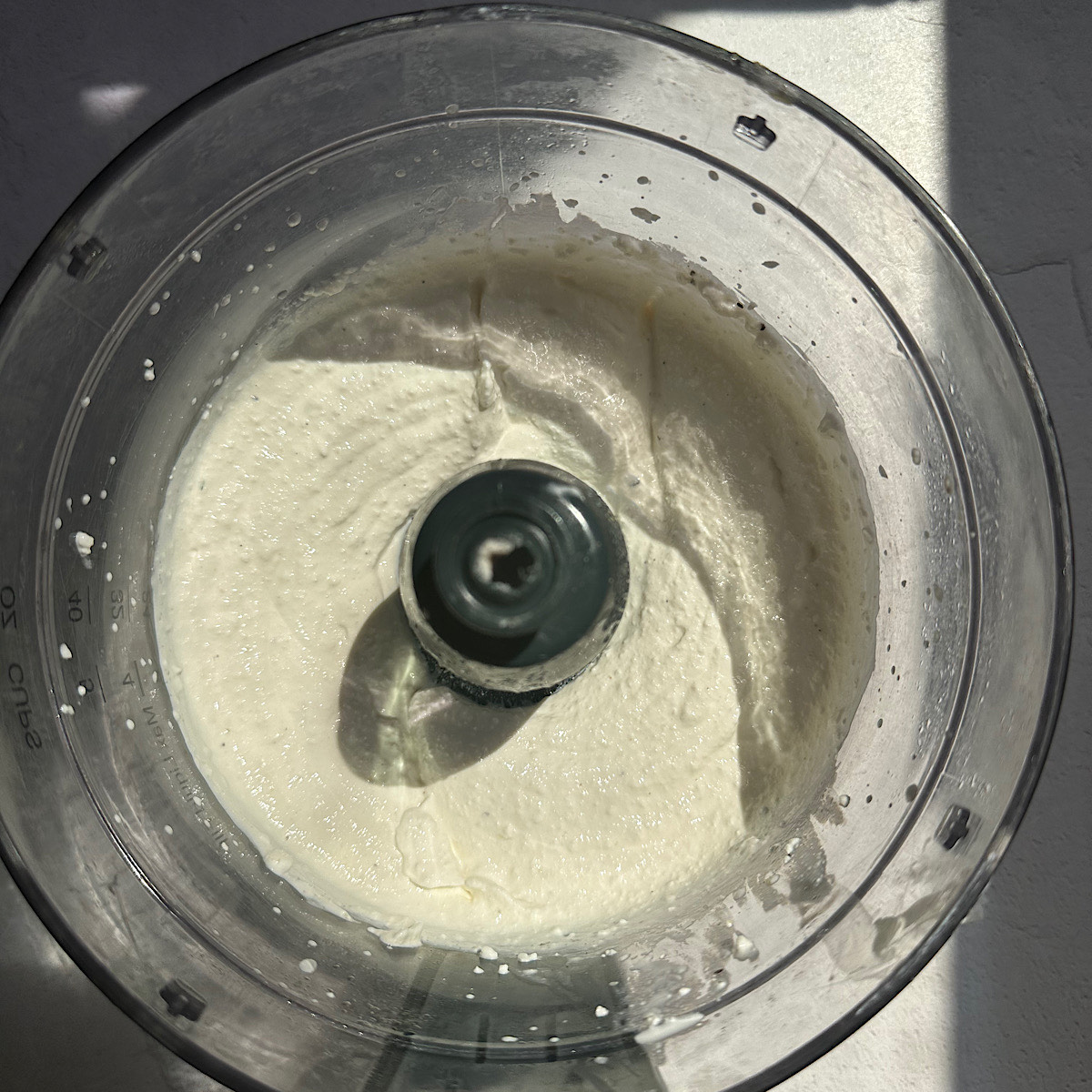 dip in food processor