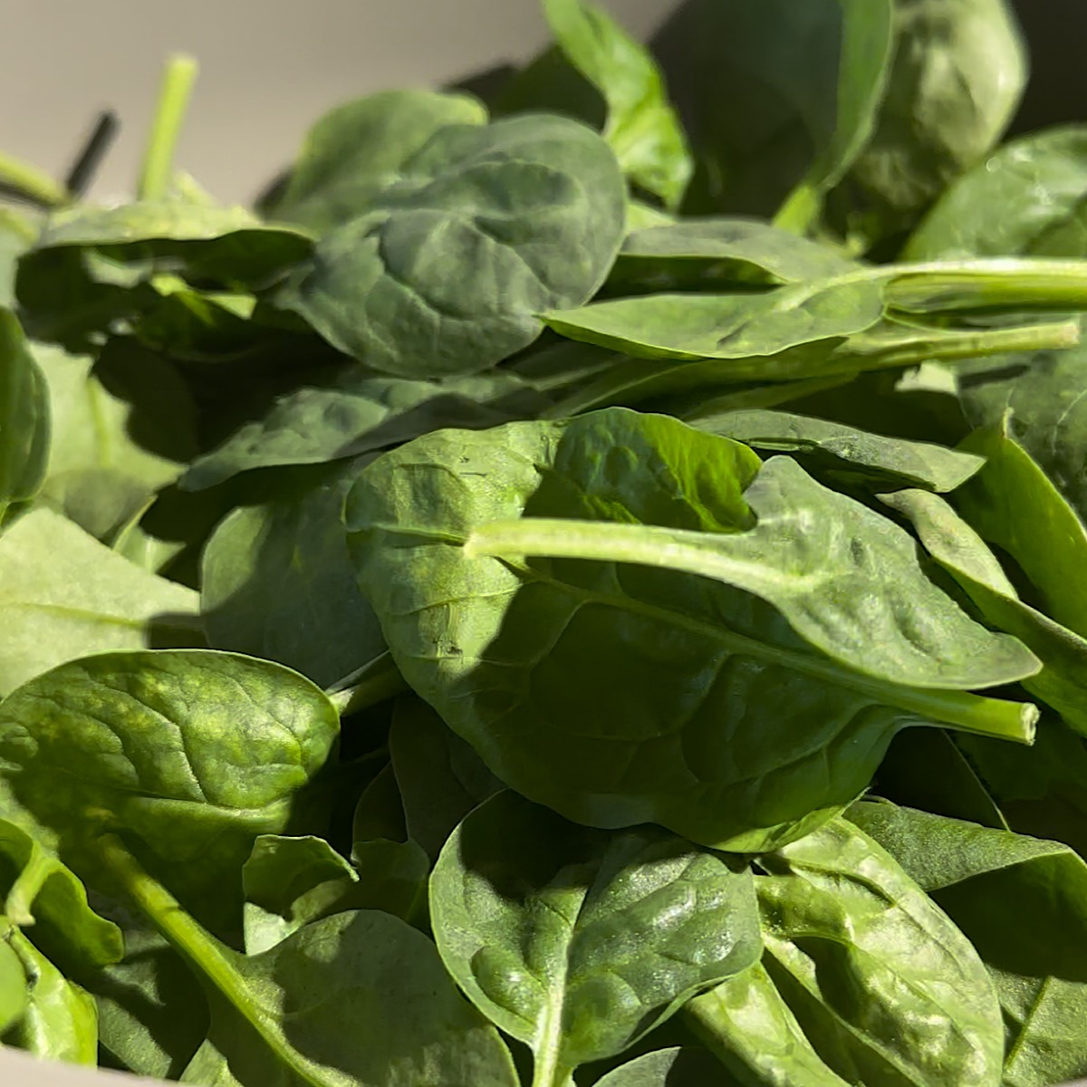 spinach in pan.