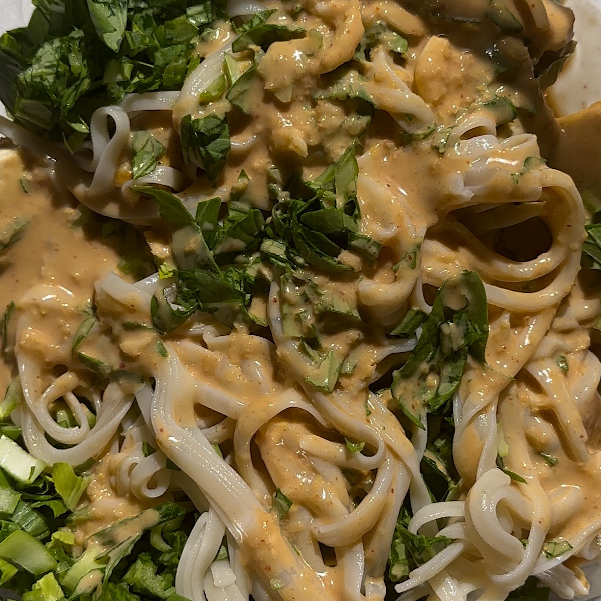 noodles in bowl