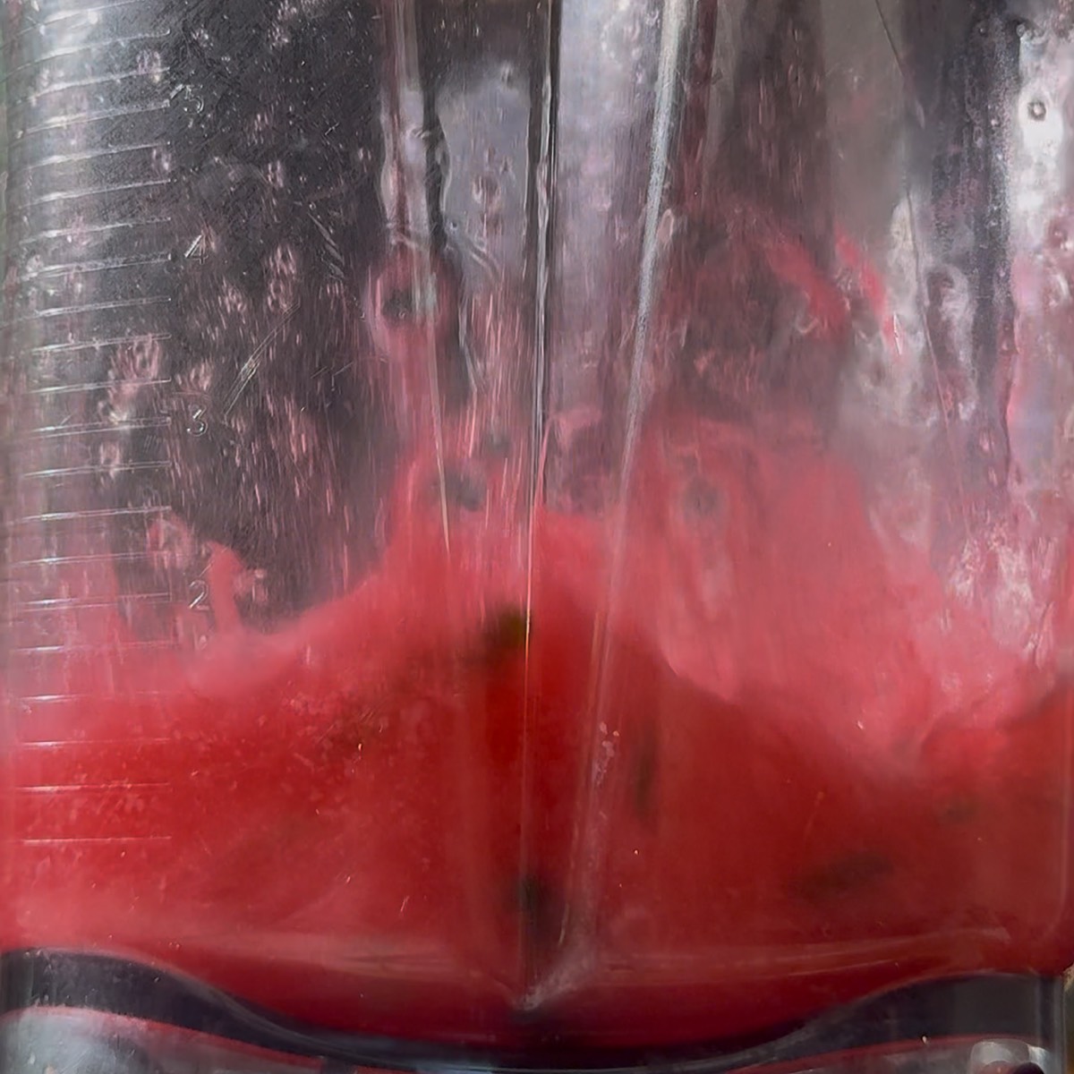 drink in blender