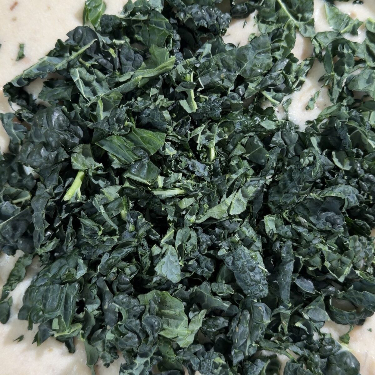 kale in pot